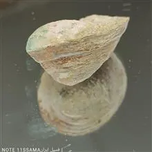 فسیل