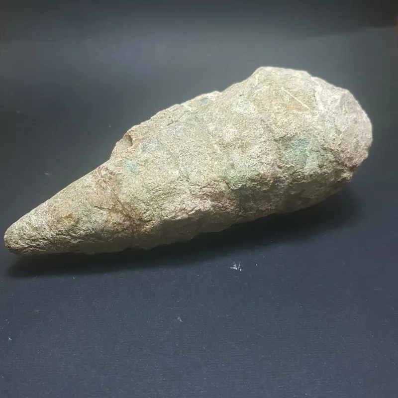 فسیل گاستروپود تورتیلا بزرگ داخل پوشیده از کریستال