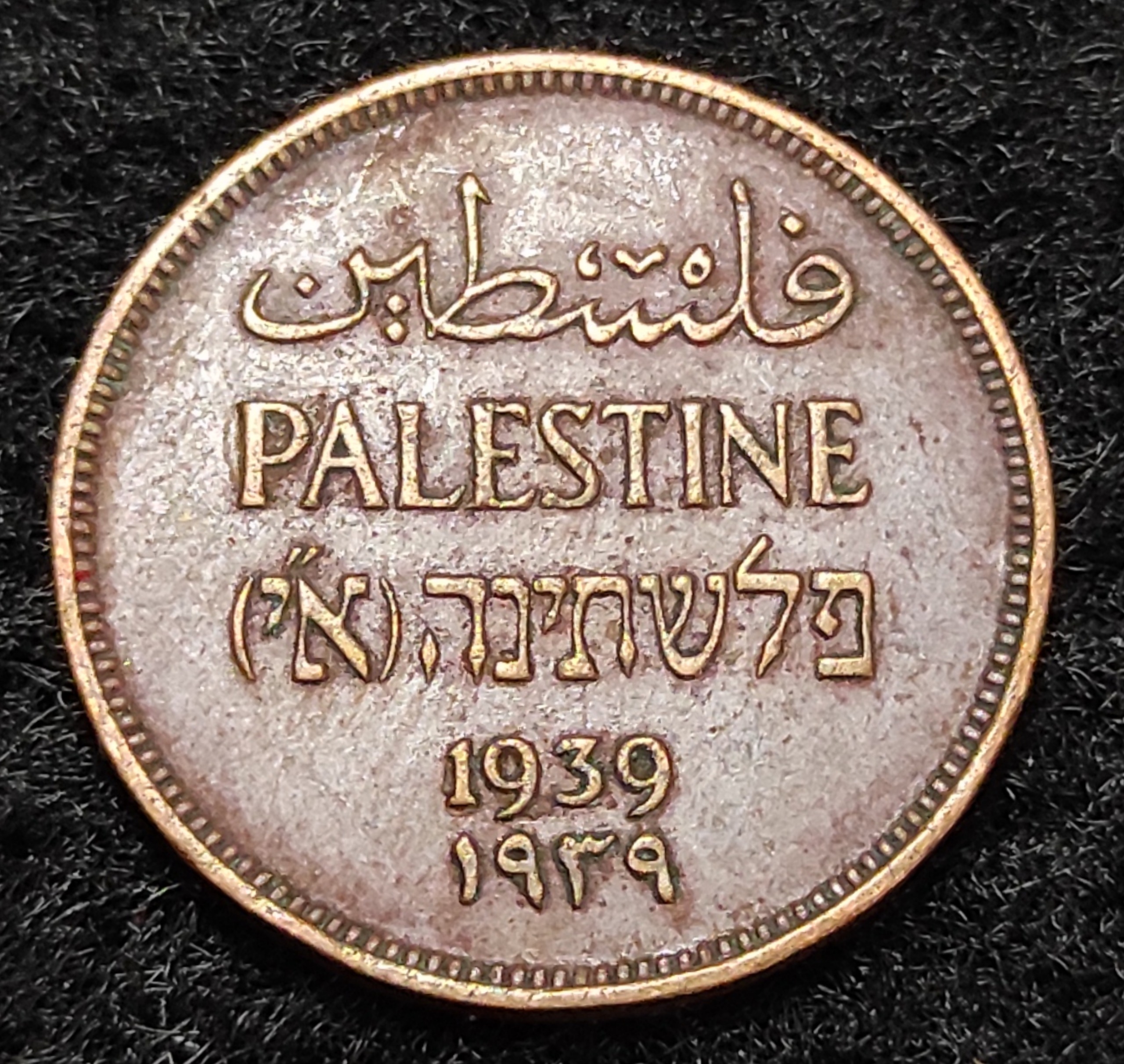 سکه خاص و کمیاب یک مل فلسطین