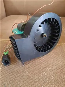 فن