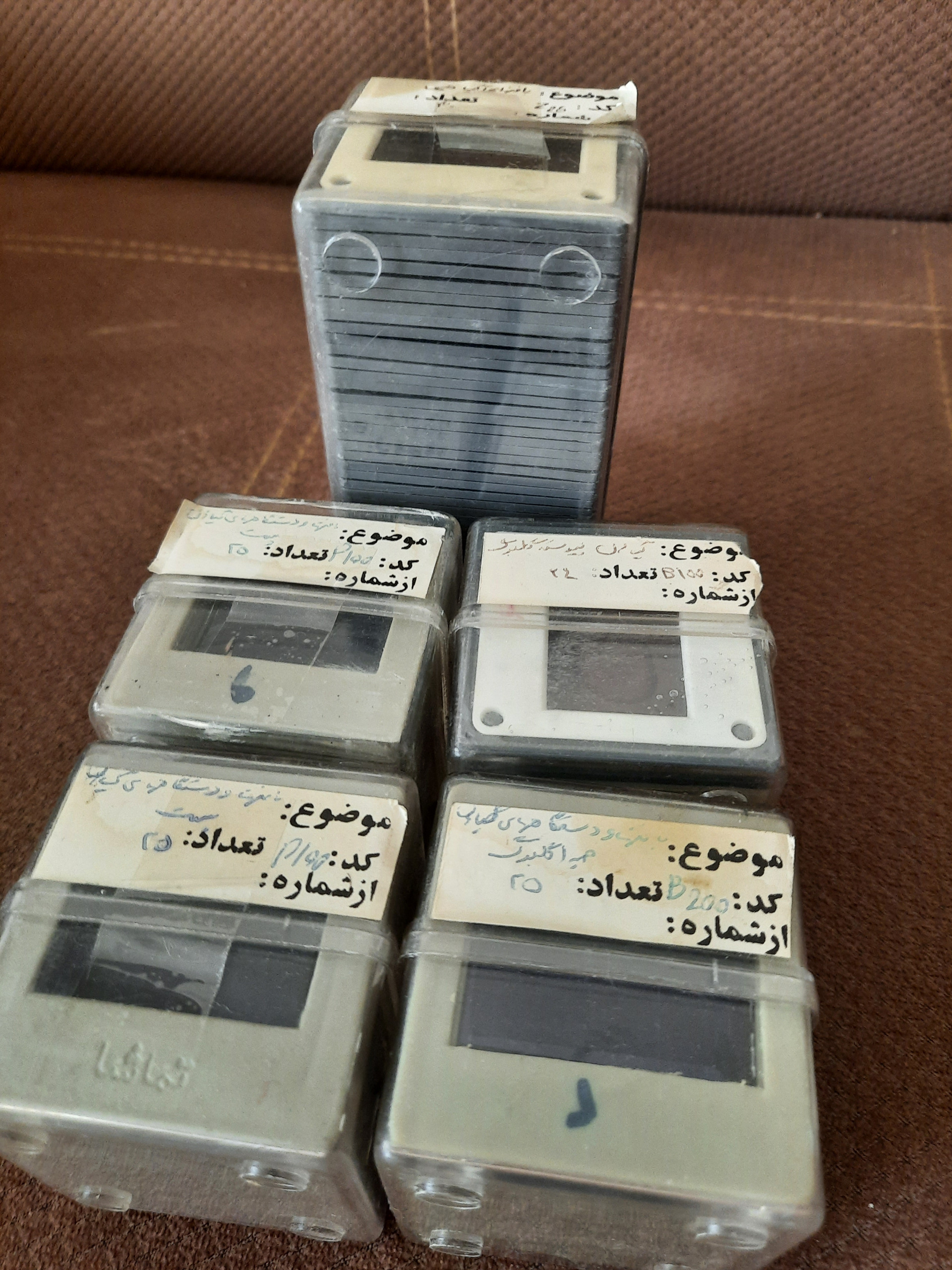 اسلاید زیست گیاهی (مجموعه 5 مینی پک)