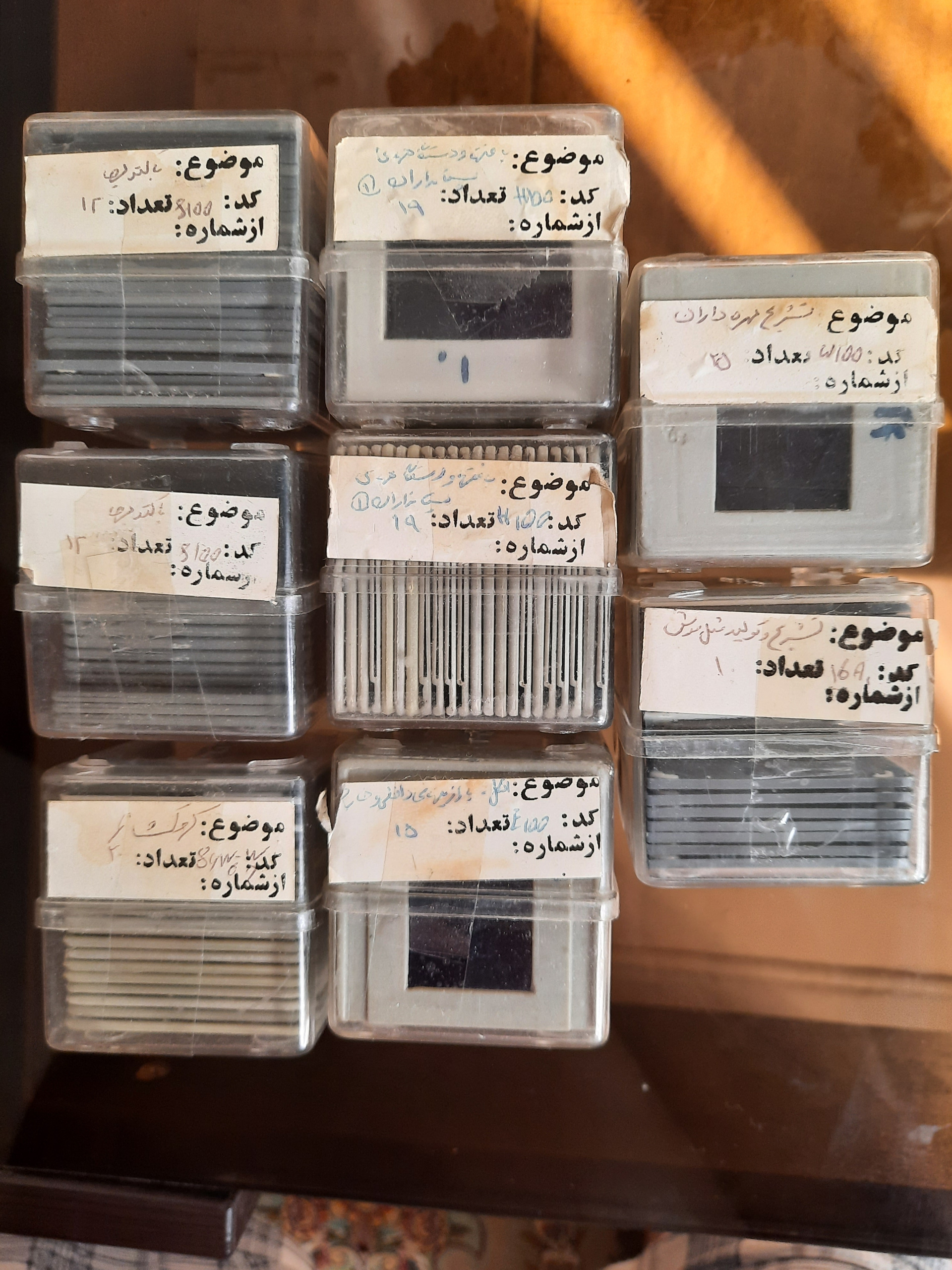 اسلاید زیست جانوری (مجموعه 8 مینی پک)