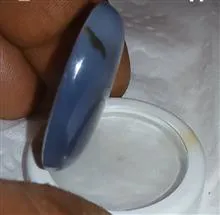 شجر