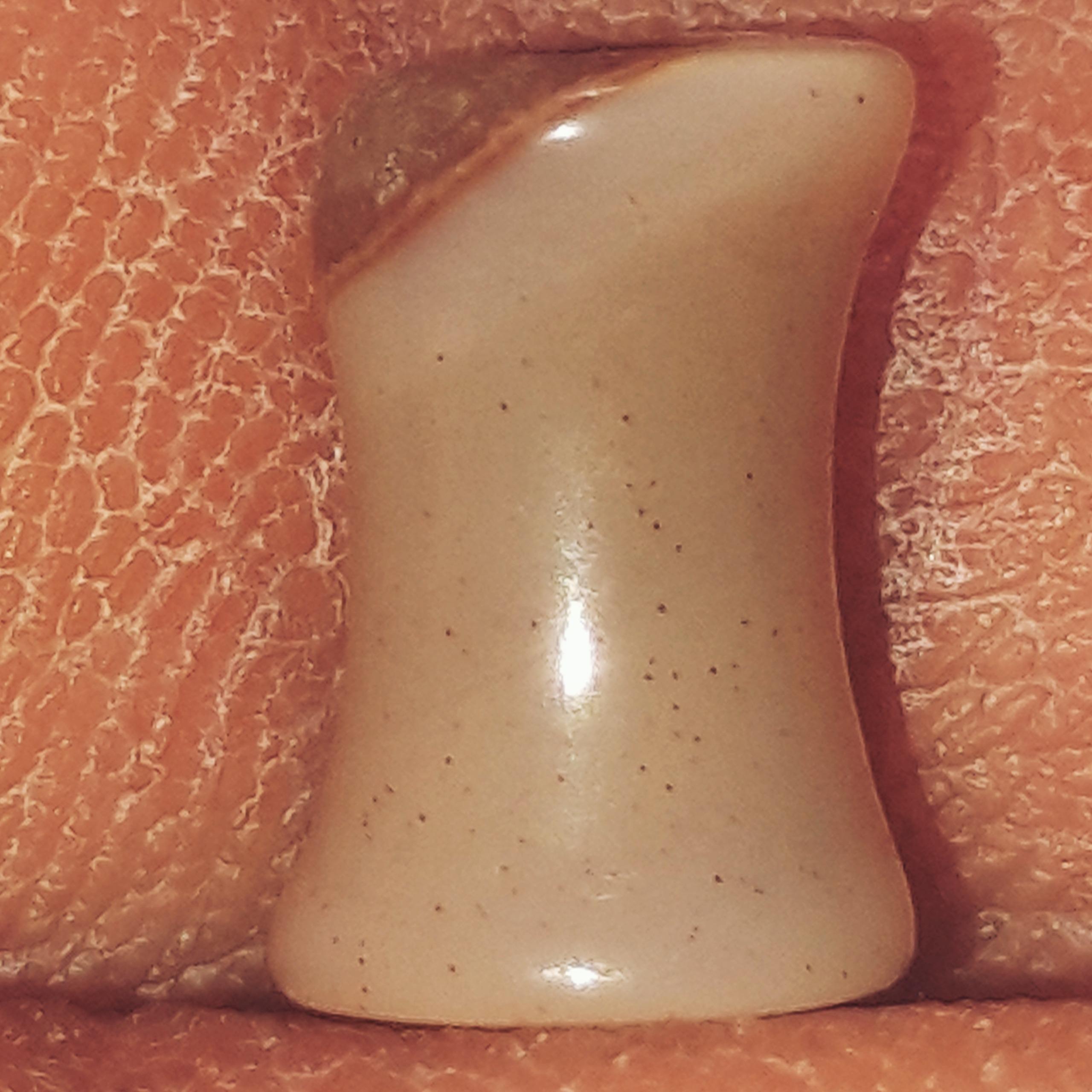 مهره استخوانی شن دار کهنه و زیبا