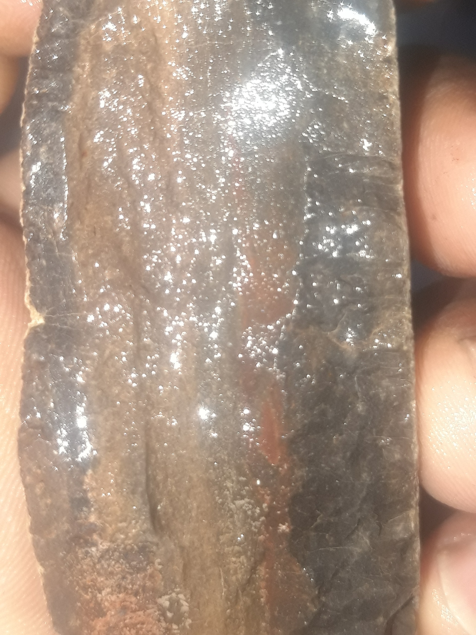 سنگ زیبا و کلکسیونی توجه توضیحات دارد