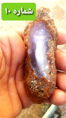 راف