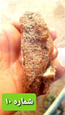 راف