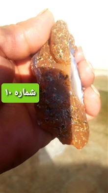 راف