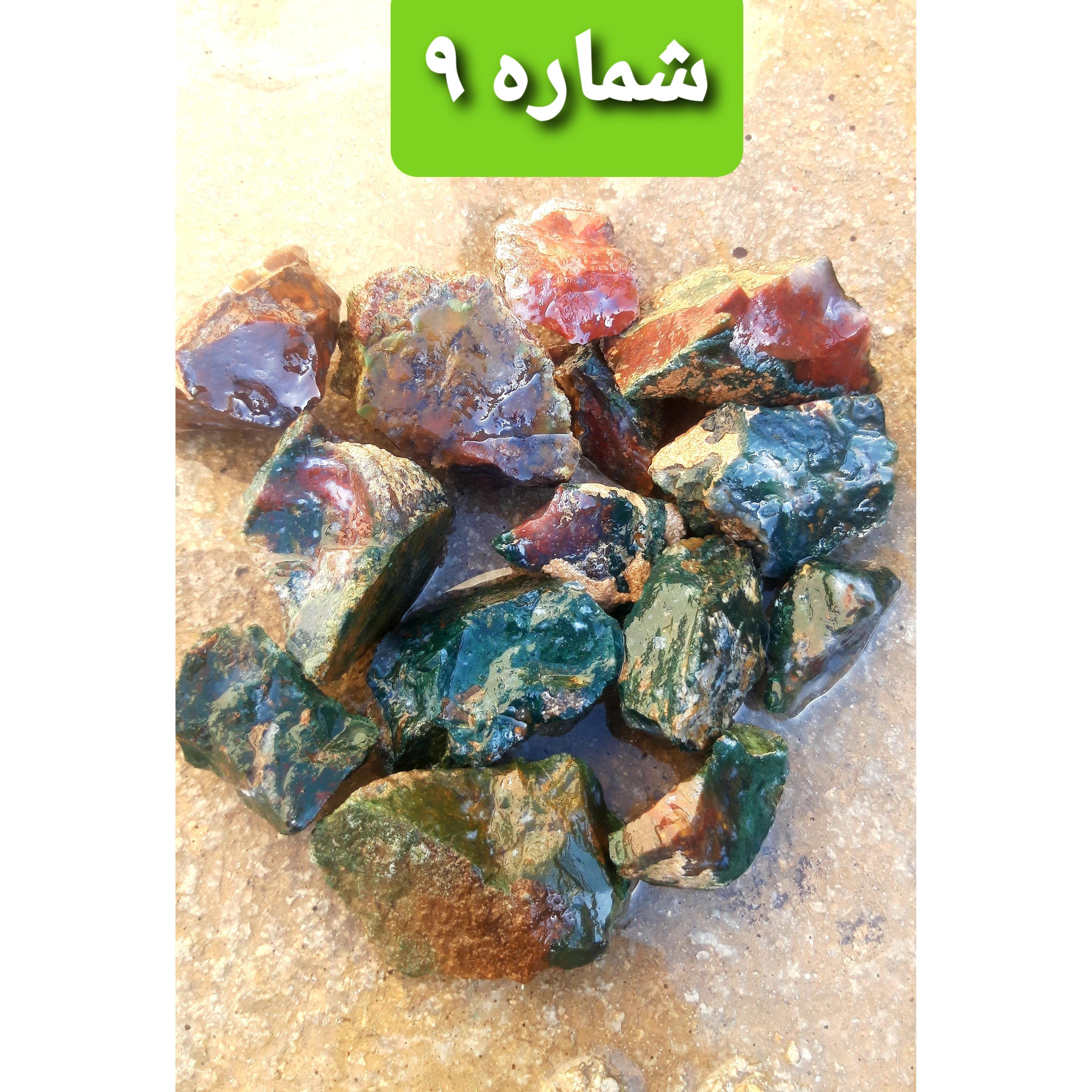 پک متنوع شجر زیبا طبق توضیحات و تصاویر