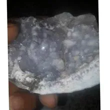 کلکسیونی