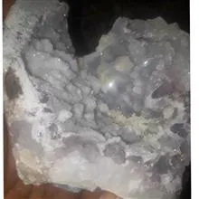 کلکسیونی