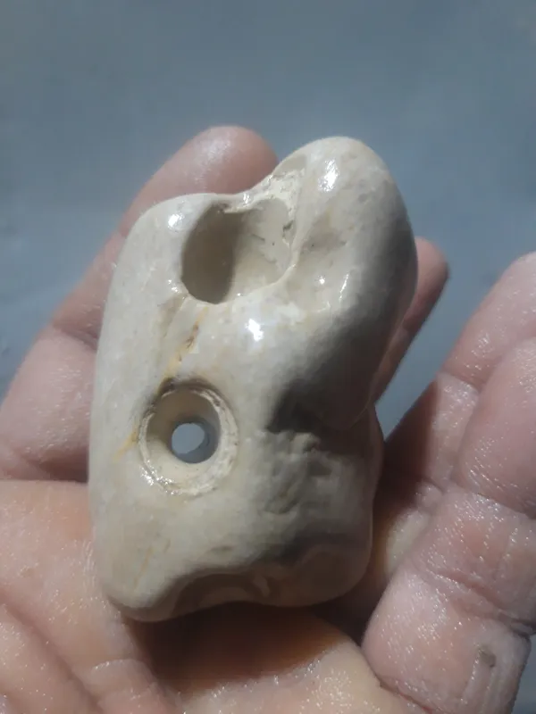 یک مهره و شاهکار کهنه طبیعی توضیحات دارد
