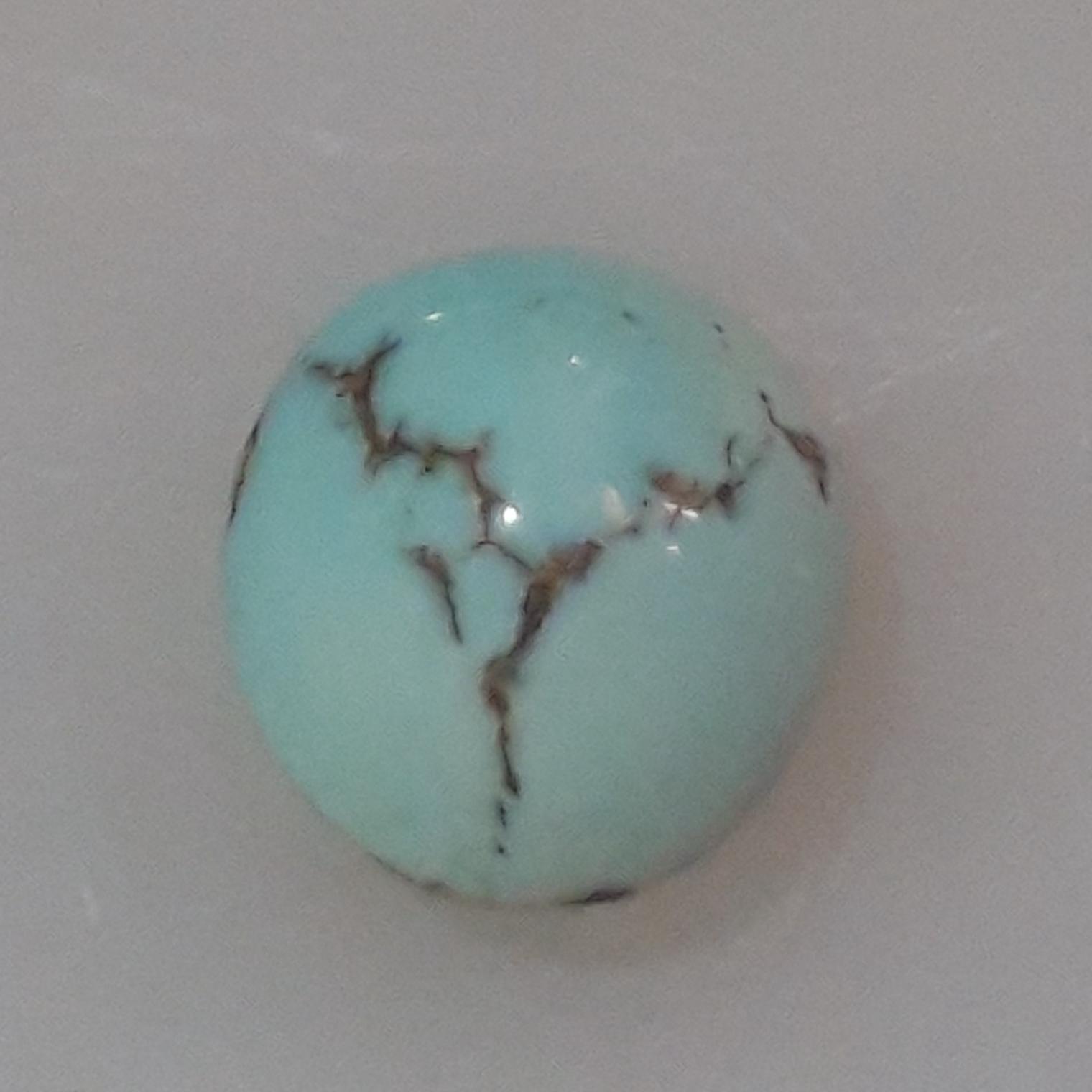 حراج کالاها فیروزه مغز شکوفه نیشابوری طبق توضیحات