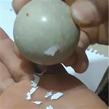 گوی