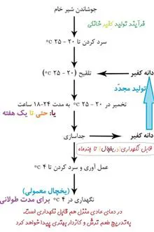 قارچ