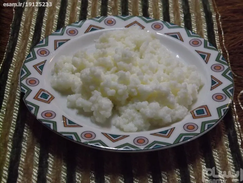 قارچ مایه کفیر