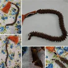 تسبیح