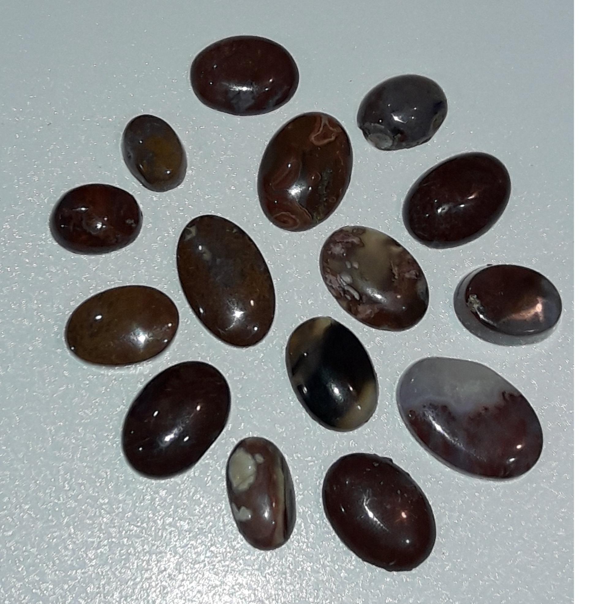 15 عدد نگین شجر یکجا