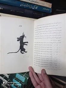 طالع