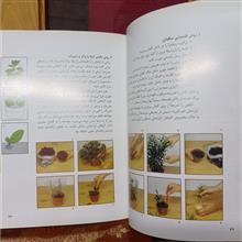 پرورش