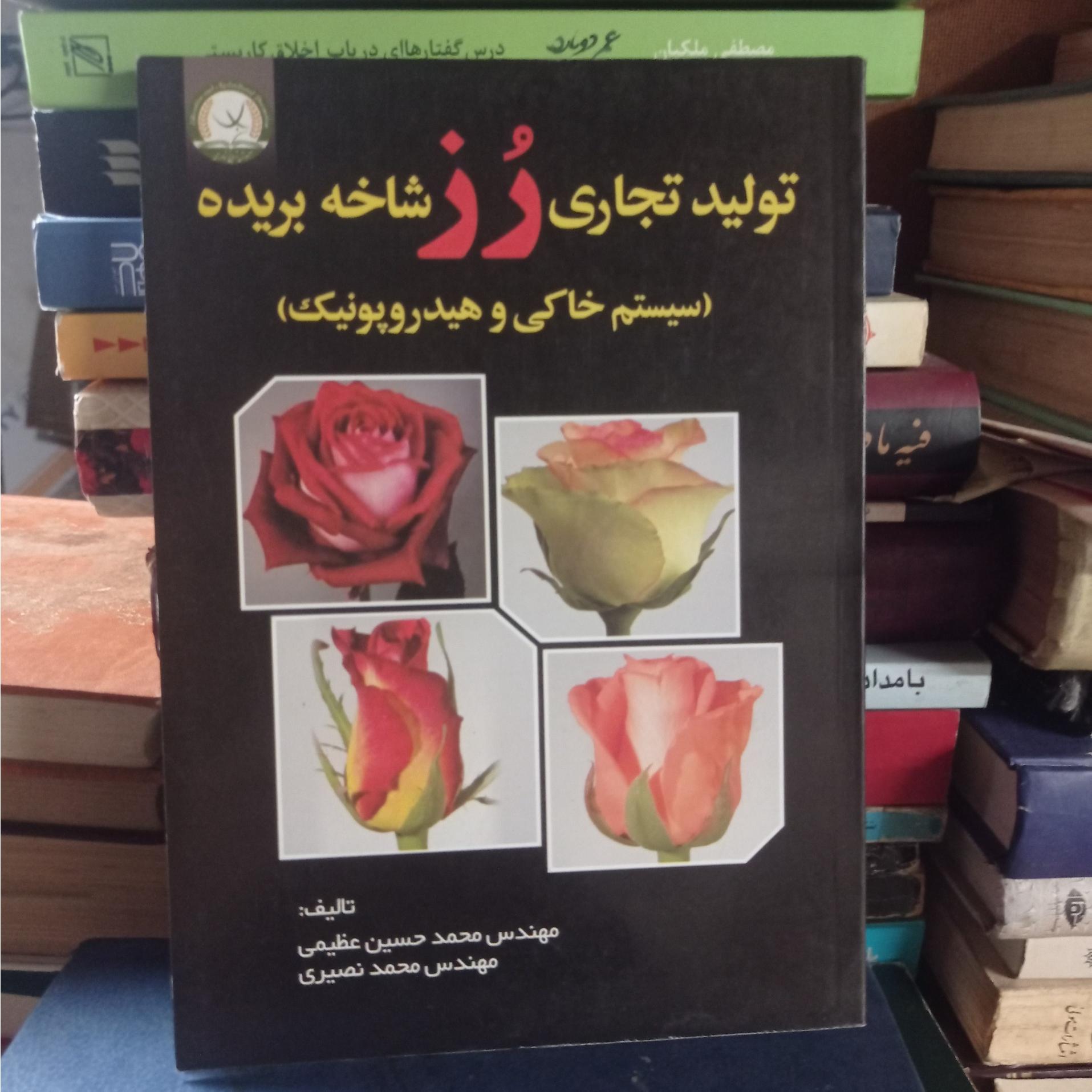 تولید تجاری رز شاخه بریده (خاکی و هیدروپونیک)
