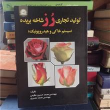 تولید