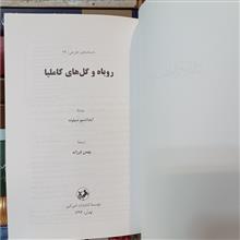 روباه