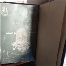 پشت
