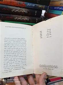 انسان