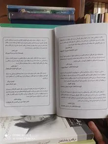 هفت