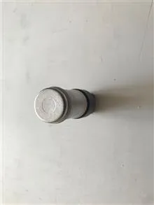 سنسور