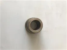 بوش