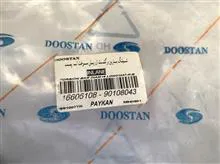 شیلنگ