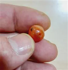 مهره