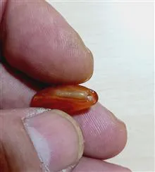 مهره
