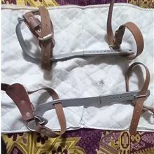 ست