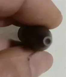 سمبه
