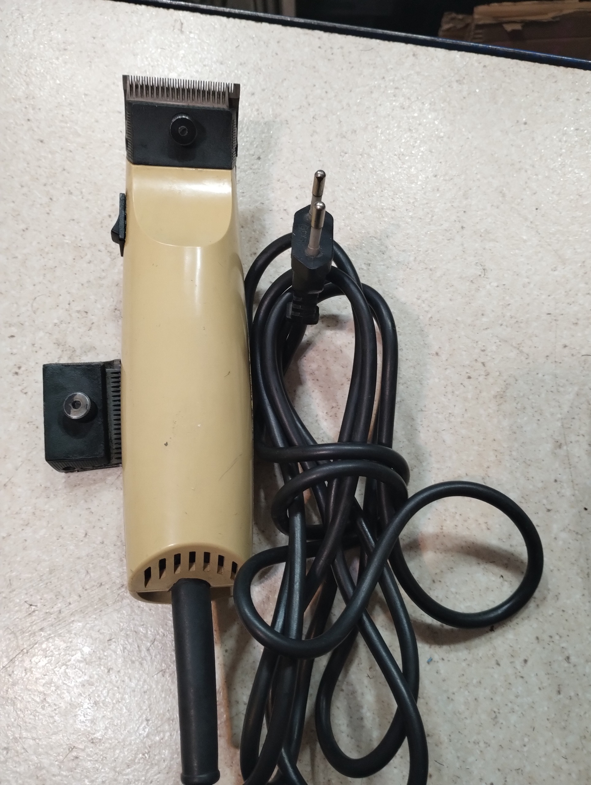 سرزنی آلمانی برقی قدیمی