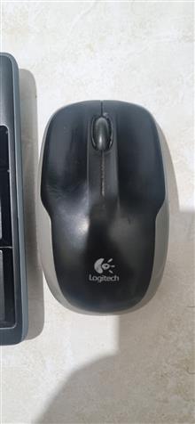 ماوس
