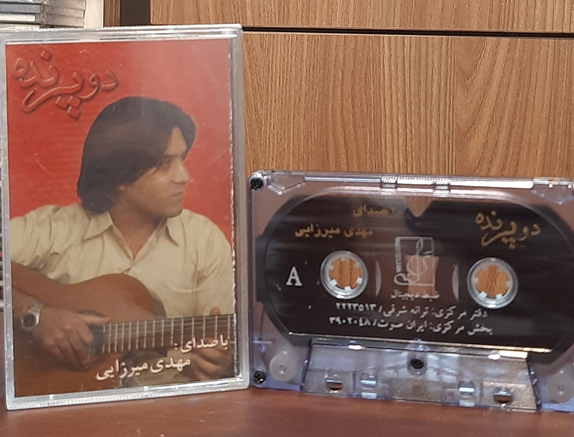 کاست دو پرنده مهدی میرزایی