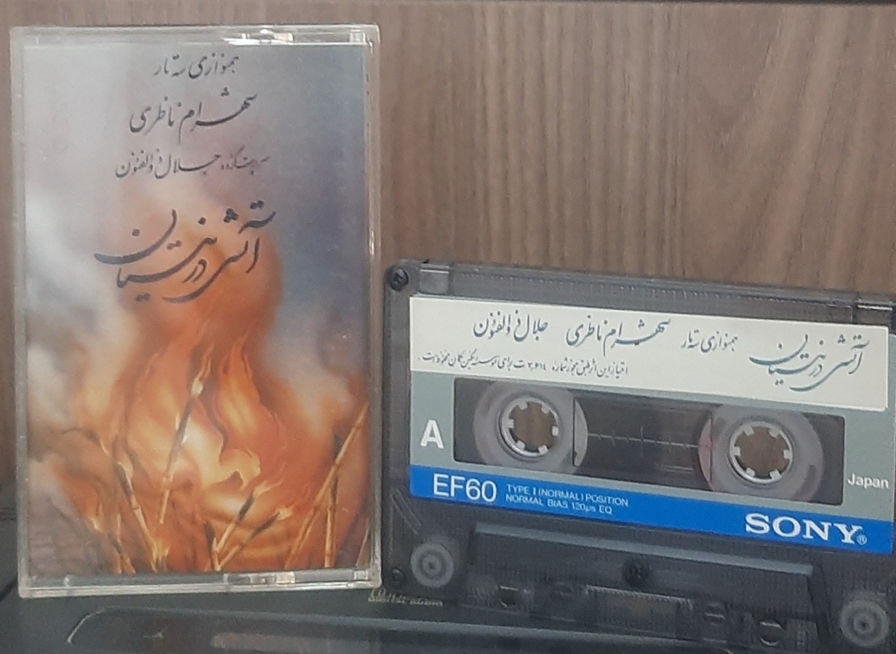 کاست آتش در نیستان