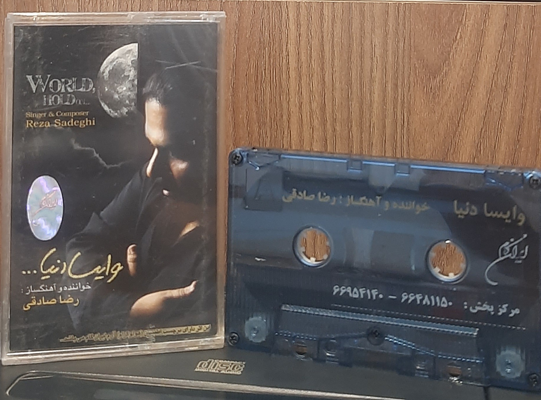 کاست وایسا دنیا رضا صادقی