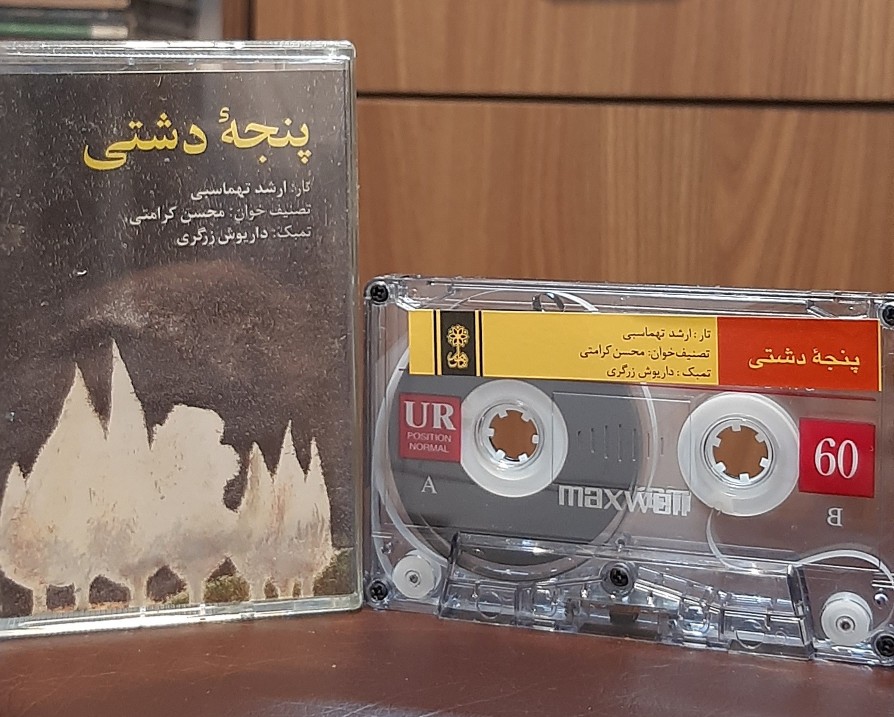 کاست پنجه دشتی محسن کرامتی