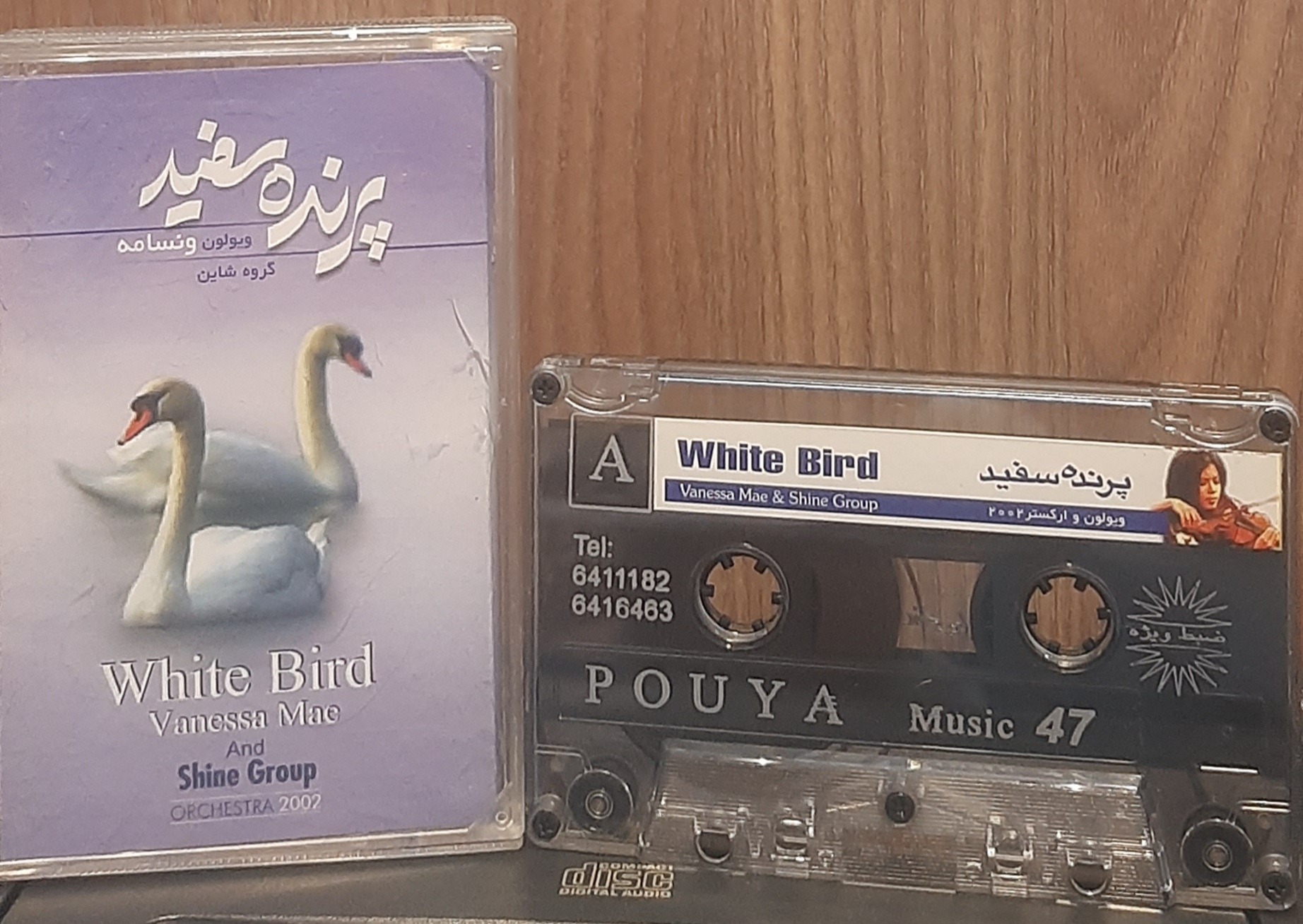 کاست پرنده سفید گروه شاین