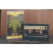 کاست