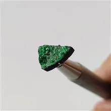 راف