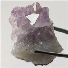 راف