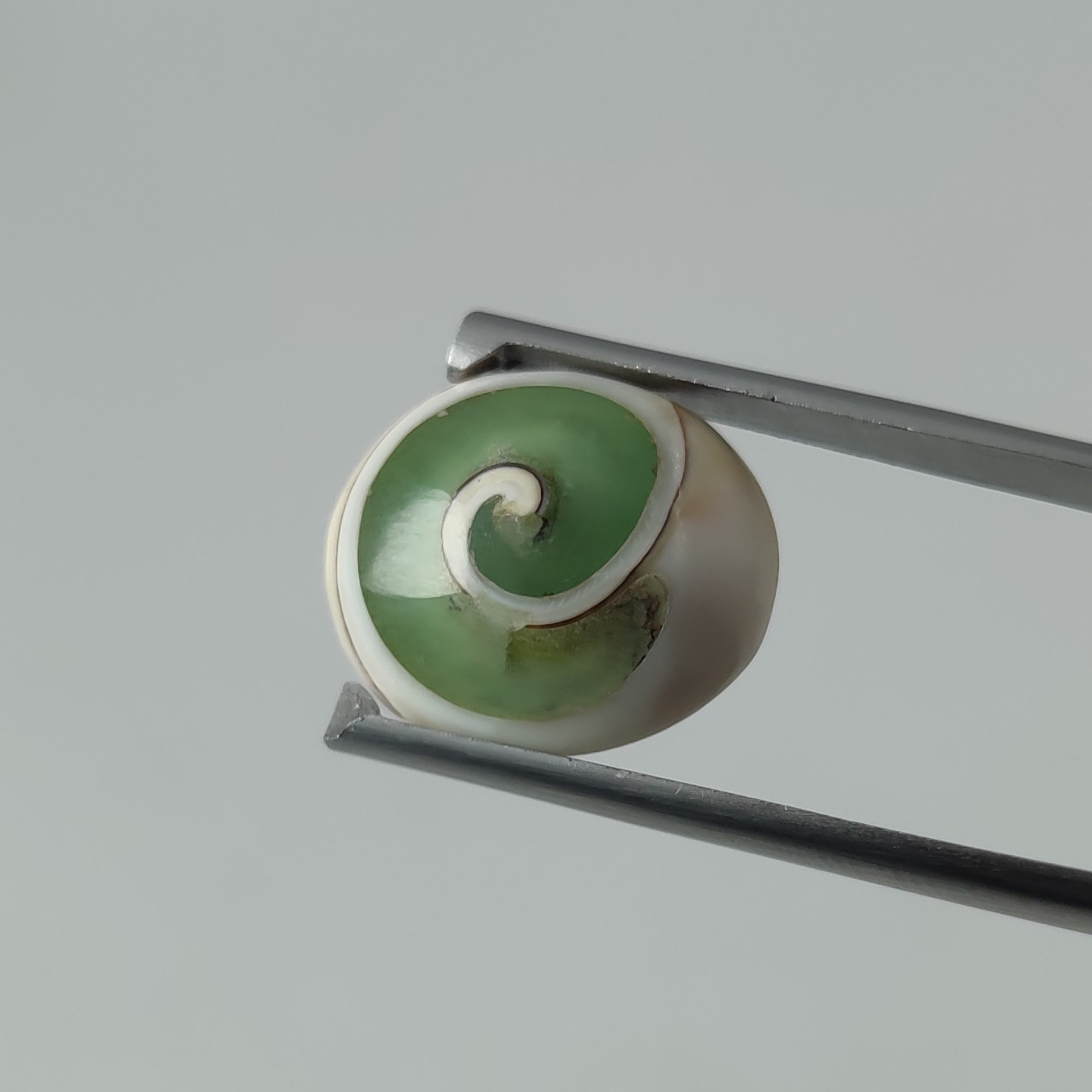 نگین صدف شب چراغ معدنی و طبیعی