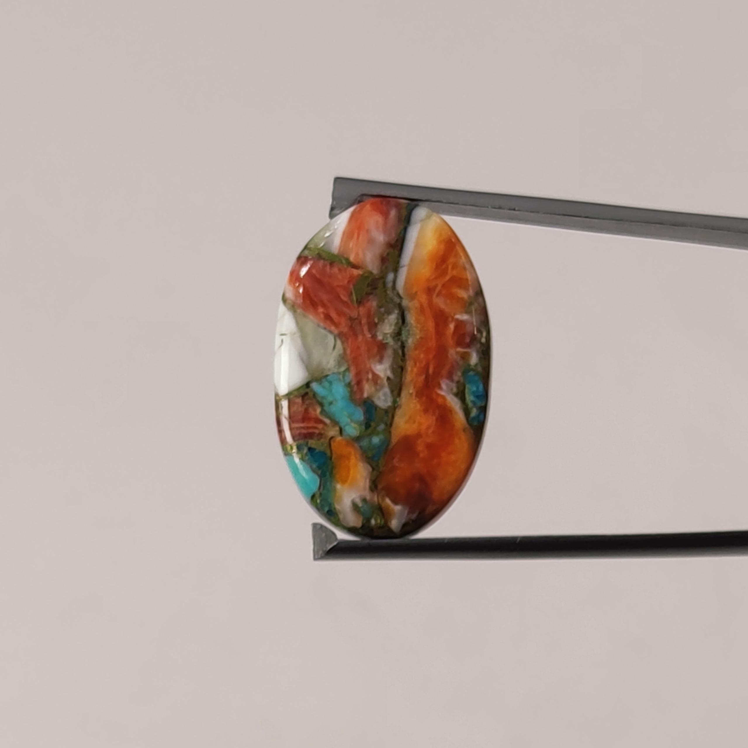 نگین صدف خاردار ترکیبی طبیعی