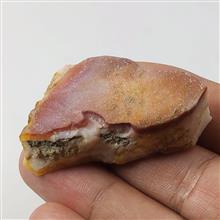 راف